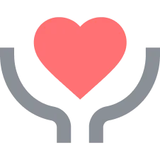 Vision icon